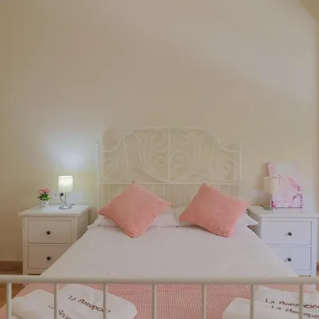 C102 - Huge And Stylish 5 Bedroom By The Center *